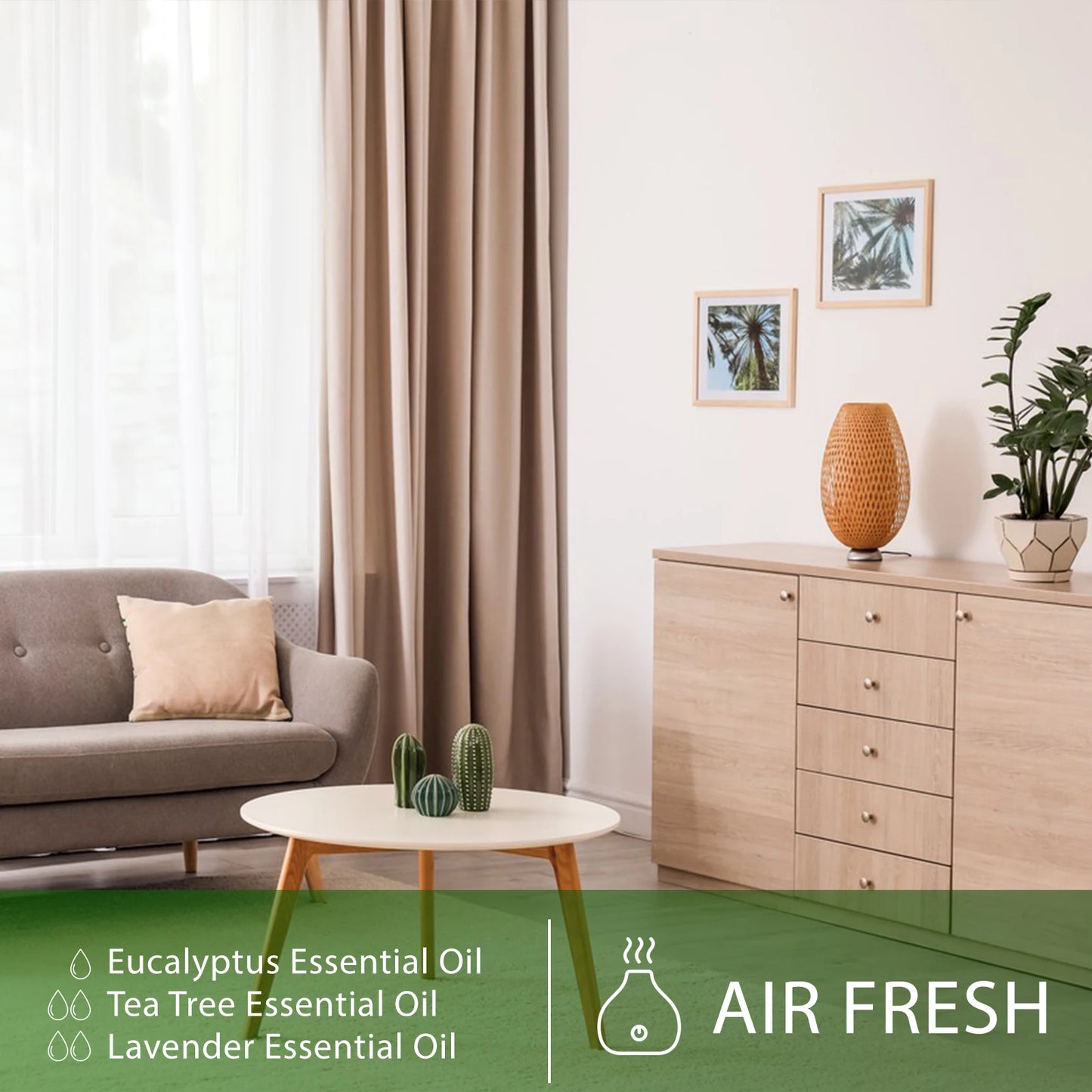 PHATOIL 10ml aceites esenciales de canela puro Natural para difusor, masaje y aromaterapia.Apto para uso en la piel