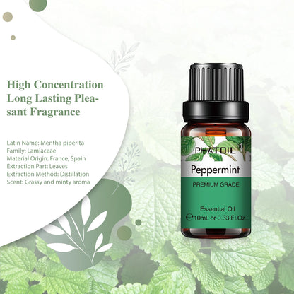 Aceites esenciales vegetales naturales PHATOIL 10 ml elige tu aroma favorito!